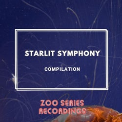 Starlit Symphony