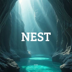 Nest