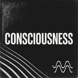 Consciousness