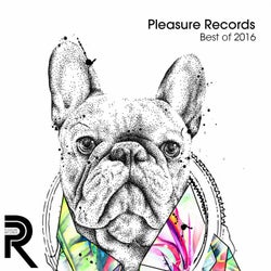 Pleasure Records Best of 2016