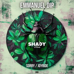 Sorry/Joyride