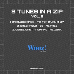 3 Tunes In A ZIP, Vol 6