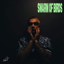 Swarm of Birds