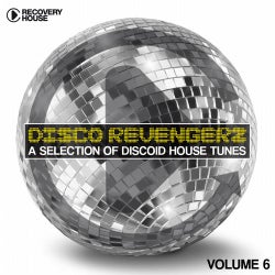 Disco Revengers Volume 6 - Discoid House Selection