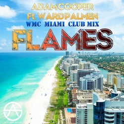 Flames (Adam Cooper WMC Miami Club Mix)