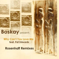 Why Can't You Love Me(Rosenhaft Remixes)