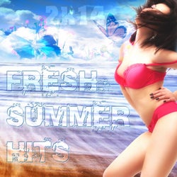 Fresh Summer Hits 2k14