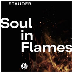 Soul in Flames