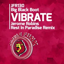 Vibrate (Jerome Robins Rest In Paradise Remix)