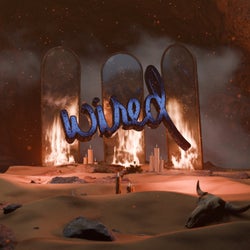 Fuego Del Desierto