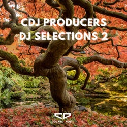 DJ Selections 2