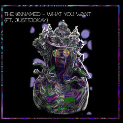 What You Want (feat. Justtjokay)