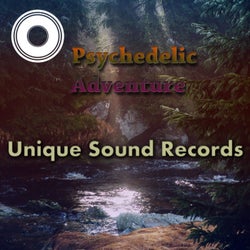 Psychedelic Adventure