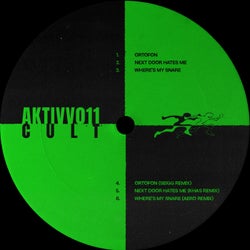 AKTIVV 011