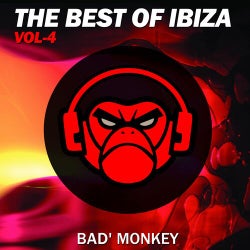 The Best of Ibiza Vol.4, compiled by Bad Monkey