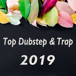Top Dubstep & Trap 2019