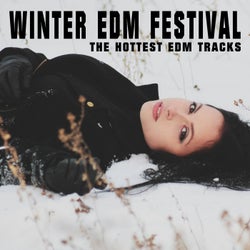 Winter EDM Festival (The Hottest EDM Tracks)