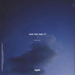 Can You Feel It (Extended mix)