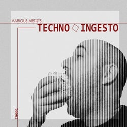 Techno Ingesto