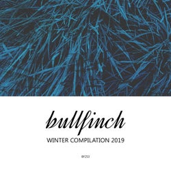 Bullfinch Winter Compilation 2019