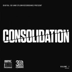 Digital 101 and 3Flow Recordings present Consolidation Vol I