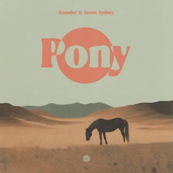 Pony (Extended Mix)