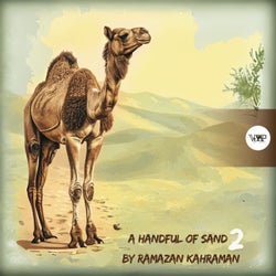 A Handful of Sand 2 by Ramazan Kahraman