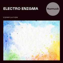 Electro Enigma