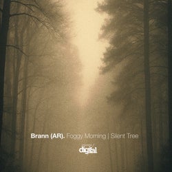 Foggy Morning | Silent Tree
