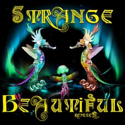Strange Beautiful Remixes