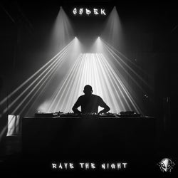 Rave The Night