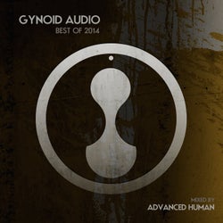 Gynoid Audio (Best of 2014) (Continuous DJ Mix)