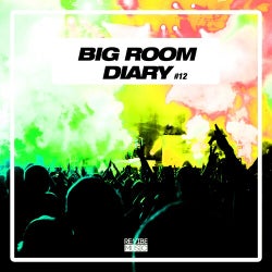 Big Room Diary, Vol. 12