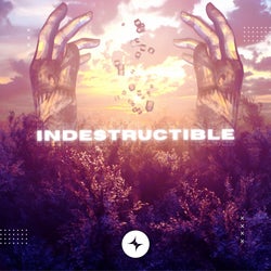 Indestructible