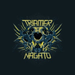 Triamer & Nagato top 10