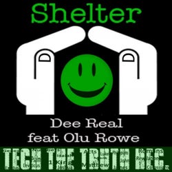 Shelter (feat. Olu Rowe)
