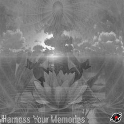 Harness Your Memories