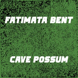 Cave Possum