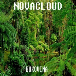Bukovina