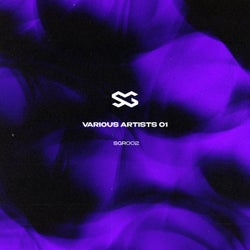Various Artists 01