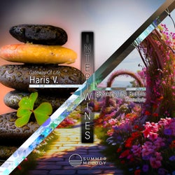 Intertwines - Haris V. / Breaking the Bubble