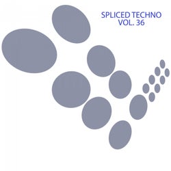 Spliced Techno, Vol. 36