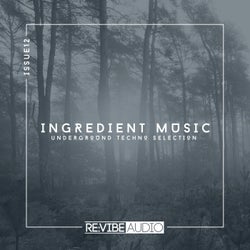 Ingredient Music, Vol. 12