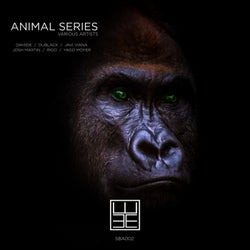 Animals Series