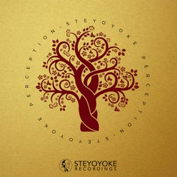 Steyoyoke Perception, Vol. 03