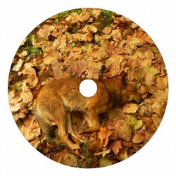 Song For Dogs EP