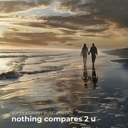 nothing compares 2 u