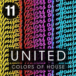 United Colors Of House Volume 11 - Festival Anthems