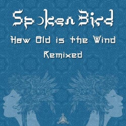 Portada de How Old is the Wind (Remixed)