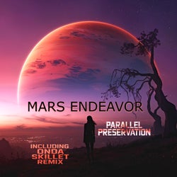 Mars Endeavor
